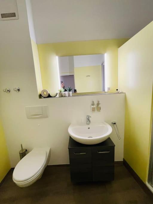 Fewo 20 - Appartement Im Rottalblick - Youngmodern Wohnen, Tiere Willkommen, Bademantelgang Zur Therme, Tv Und Balkon Bad Griesbach (Bavaria) Exterior foto